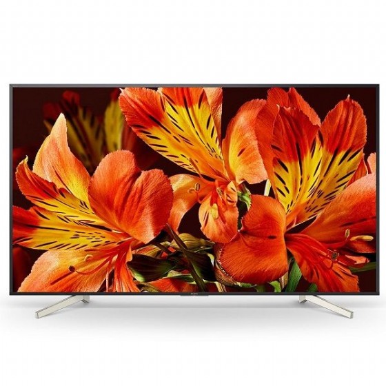 �������� Sony KD55XF8596BAEP 4K �55 ������ ����