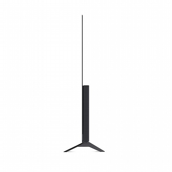 �������� LG OLED65A1PVA 4K �65 ������