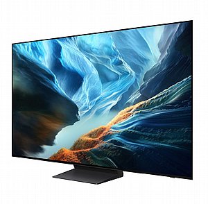 �������� ���� OLED �77 QE77S90HAEXIL ������ SAMSUNG